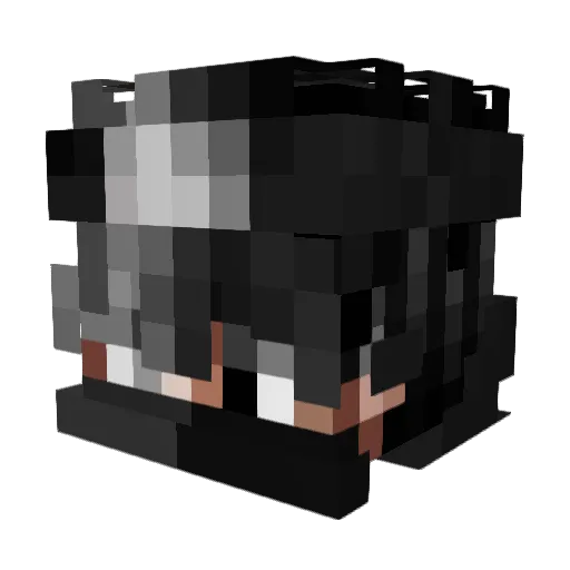 LoginToZiom Minecraft avatar head, 3D render
