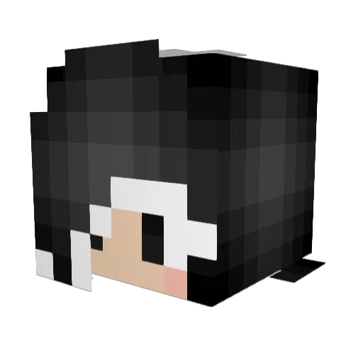 LogoLover9000 Minecraft avatar head, 3D render