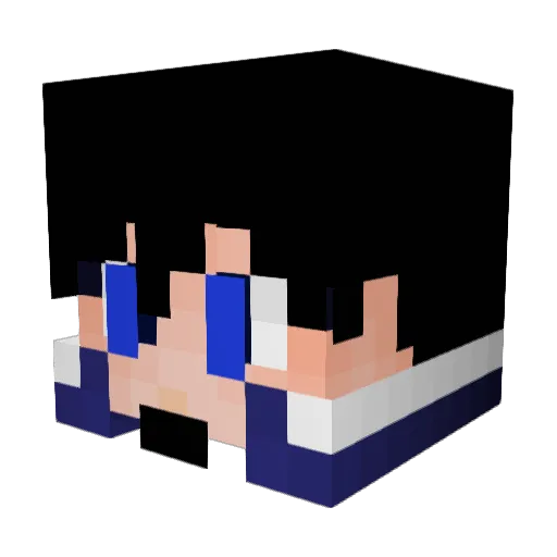 Logy1991 Minecraft avatar head, 3D render
