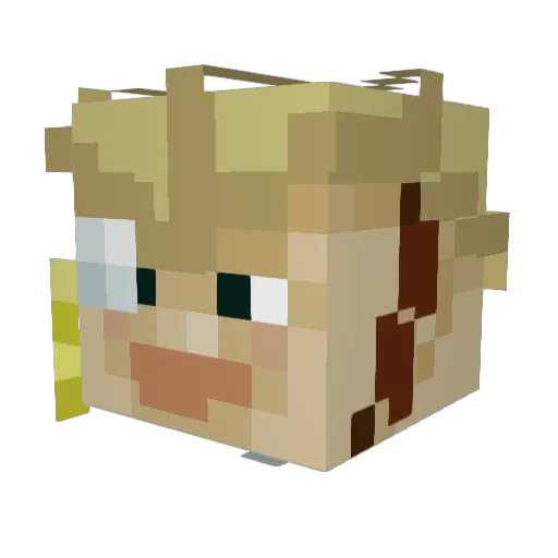 Lohi123456 Minecraft avatar head, 3D render