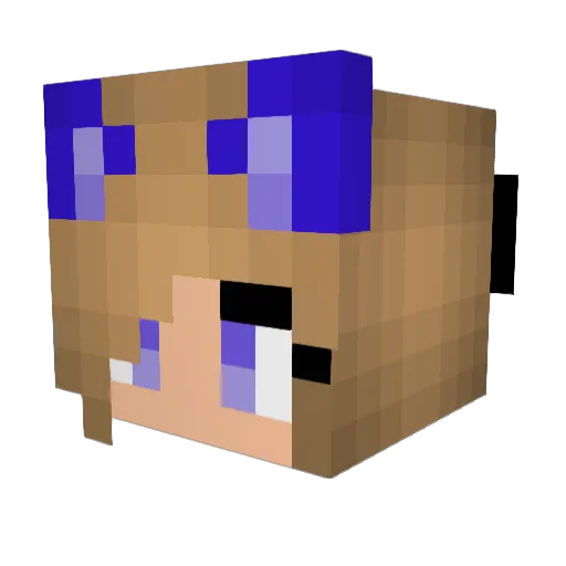 Lohma11 Minecraft avatar head, 3D render