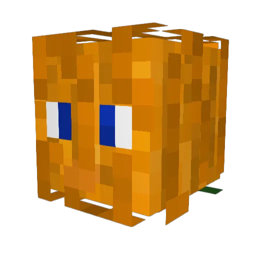 Loibo123 Minecraft avatar head, 3D render