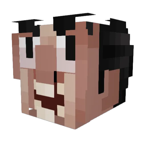 LoicDevillier Minecraft avatar head, 3D render