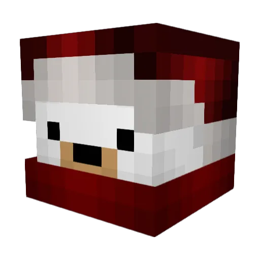 LoicyRain Minecraft avatar head, 3D render