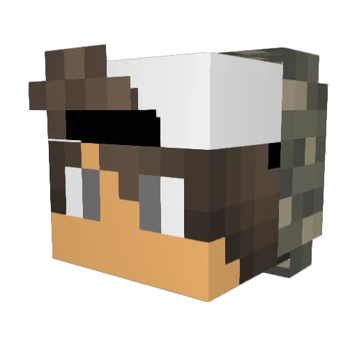 Loie16 Minecraft avatar head, 3D render