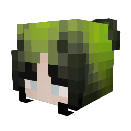 Lok23 Minecraft avatar head, 3D render