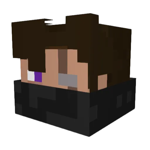 Lok_medric Minecraft avatar head, 3D render