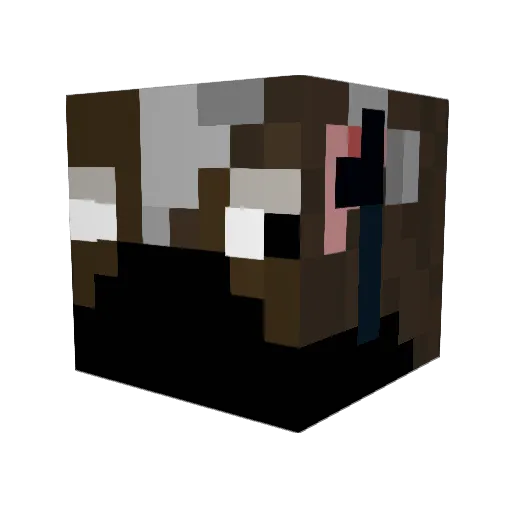 LokeGamer101 Minecraft avatar head, 3D render