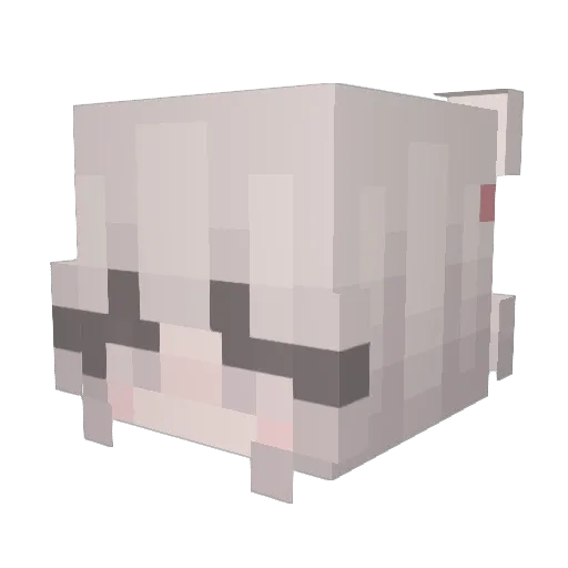 Loken9410 Minecraft avatar head, 3D render