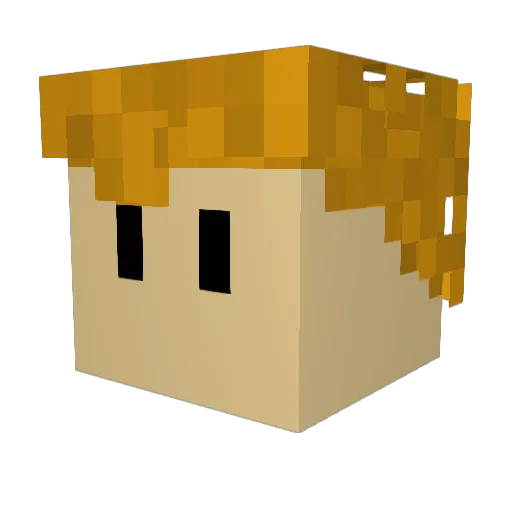 Loki2597 Minecraft avatar head, 3D render