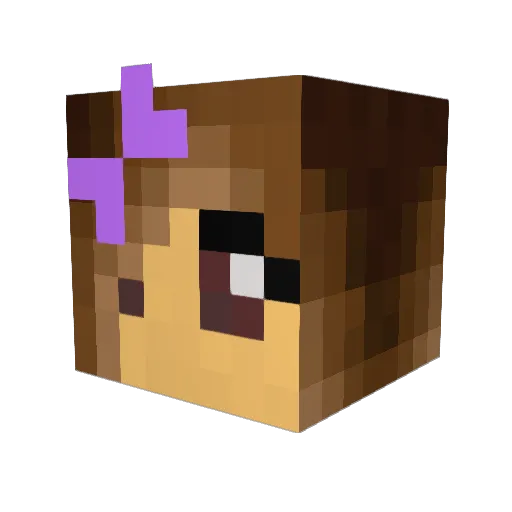 Loki8888 Minecraft avatar head, 3D render