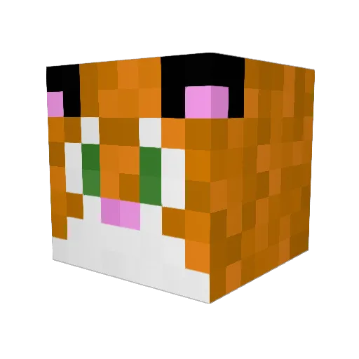 LokiDaCat Minecraft avatar head, 3D render