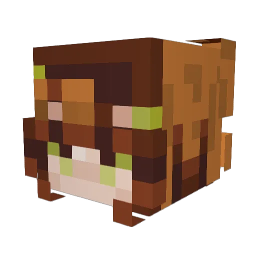 LokiLock3 Minecraft avatar head, 3D render