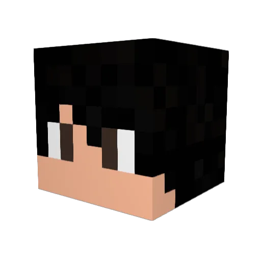 LokinhoBr1406 Minecraft avatar head, 3D render
