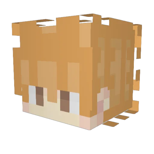 Lokir1995 Minecraft avatar head, 3D render