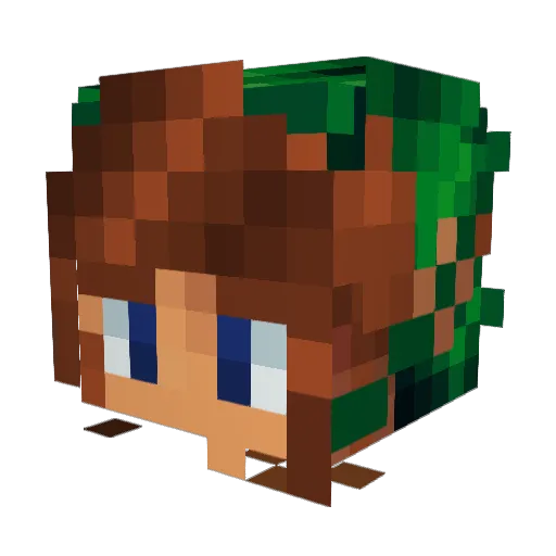 Lokoinoo Minecraft avatar head, 3D render