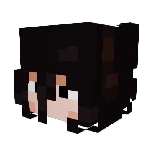 Lokus72 Minecraft avatar head, 3D render