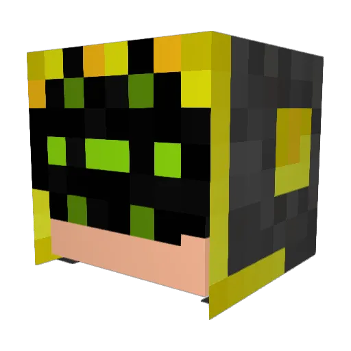 Lol0PvP Minecraft avatar head, 3D render