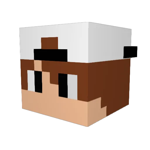 Lol3010 Minecraft avatar head, 3D render