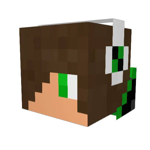 Lol_kid1 Minecraft avatar head, 3D render