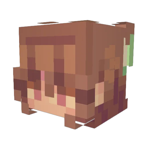 Lola7260 Minecraft avatar head, 3D render