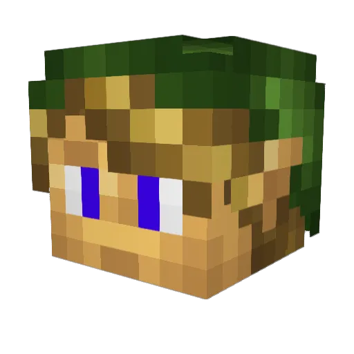 LolaGamerHD Minecraft avatar head, 3D render