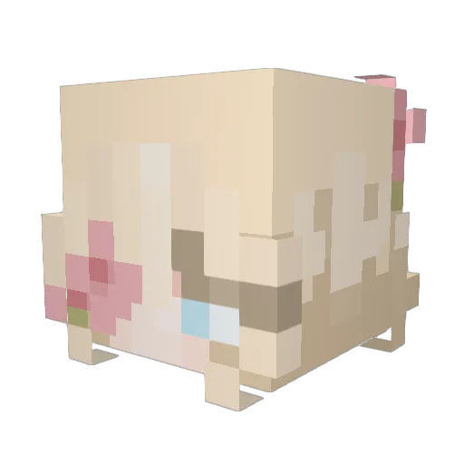 LolaLovesPlants Minecraft avatar head, 3D render
