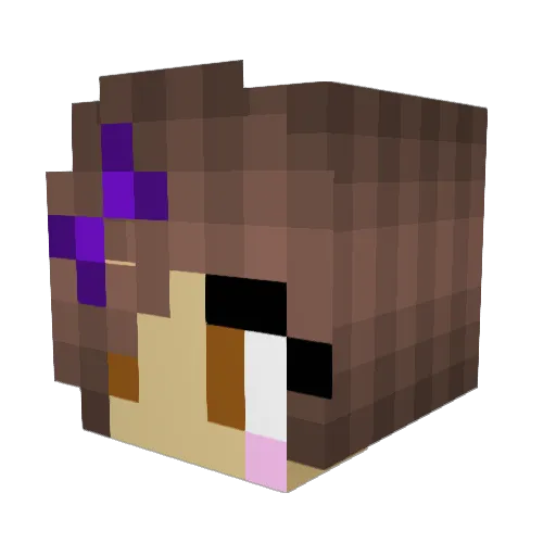 Loladejonge Minecraft avatar head, 3D render
