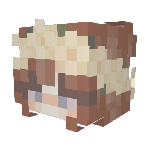 Lolagamer787 Minecraft avatar head, 3D render