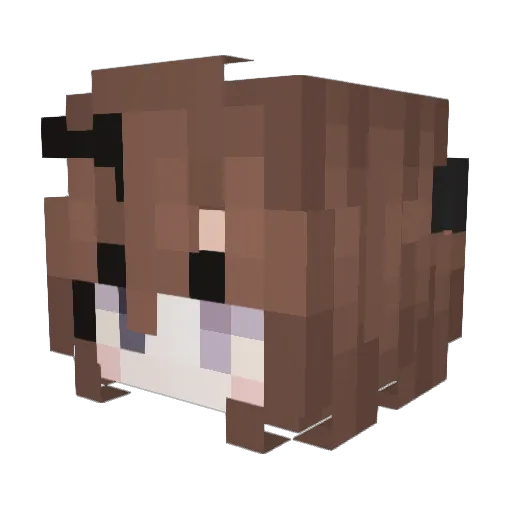 Lolagirl6 Minecraft avatar head, 3D render