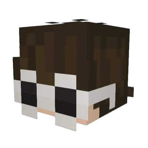 Lolarayz Minecraft avatar head, 3D render