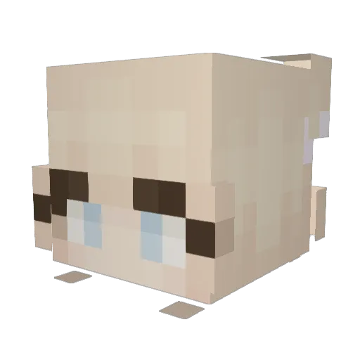Lolavs Minecraft avatar head, 3D render