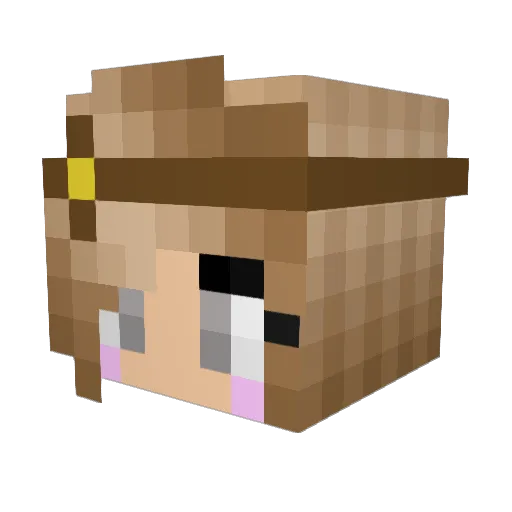 Lolax101 Minecraft avatar head, 3D render