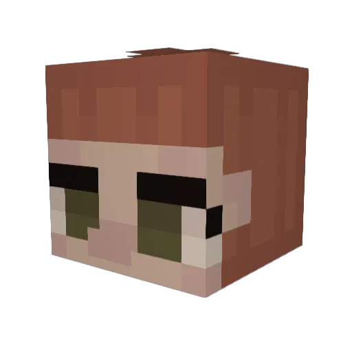 Lolguise95 Minecraft avatar head, 3D render
