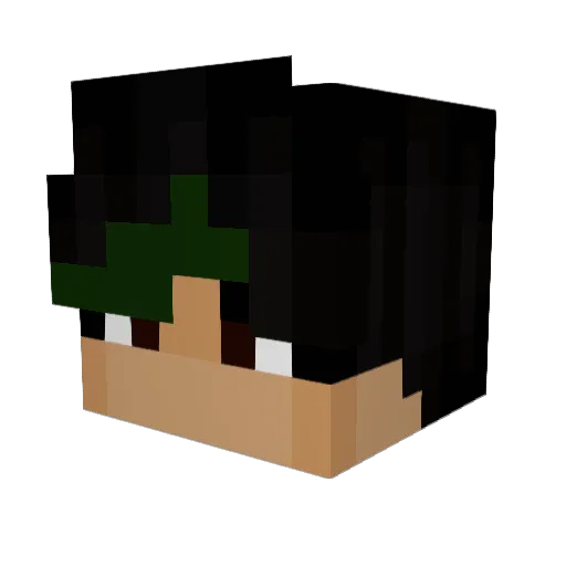 Loli1177 Minecraft avatar head, 3D render