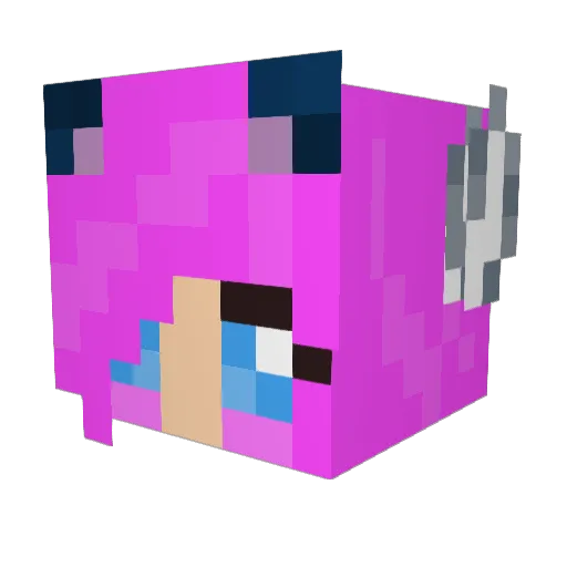 Loli_Poli Minecraft avatar head, 3D render