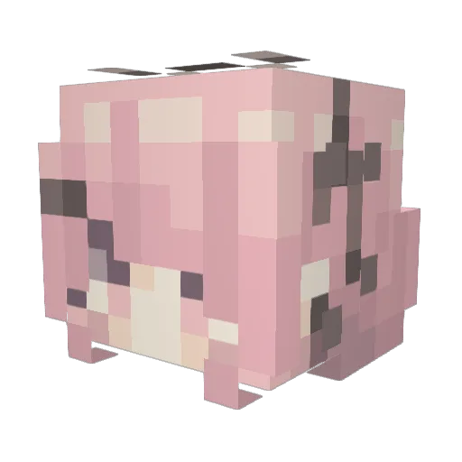 Loli_chick Minecraft avatar head, 3D render