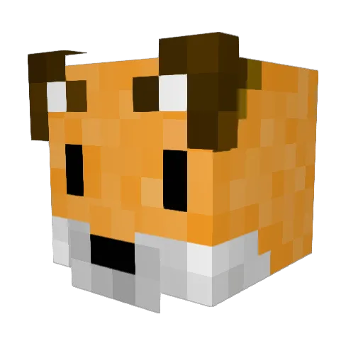 Lolinonusos225 Minecraft avatar head, 3D render