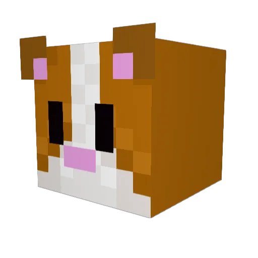 Lolito69 Minecraft avatar head, 3D render