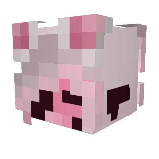 Lolitsduke Minecraft avatar head, 3D render