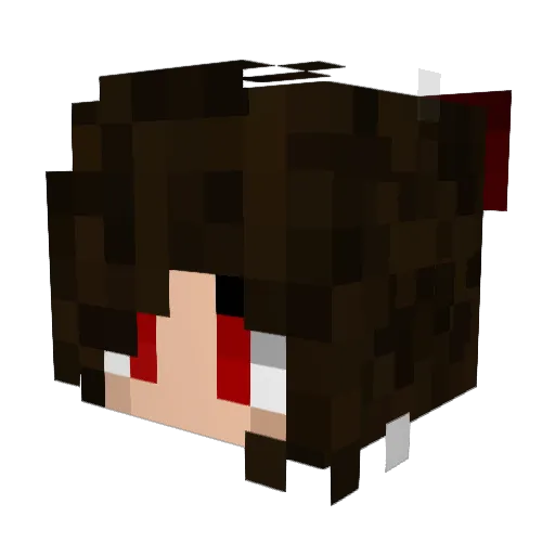 Lolla02 Minecraft avatar head, 3D render