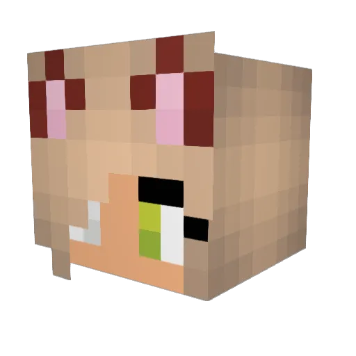 Lolla05 Minecraft avatar head, 3D render