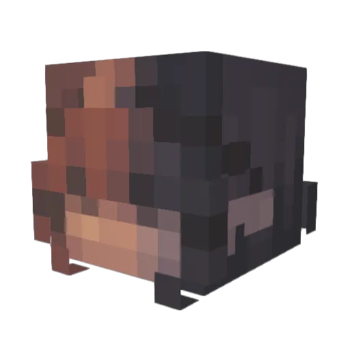 Lollerss Minecraft avatar head, 3D render