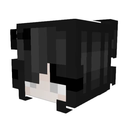 LolliPopRose Minecraft avatar head, 3D render