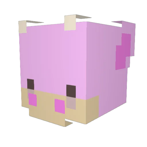 LolliTehSally Minecraft avatar head, 3D render