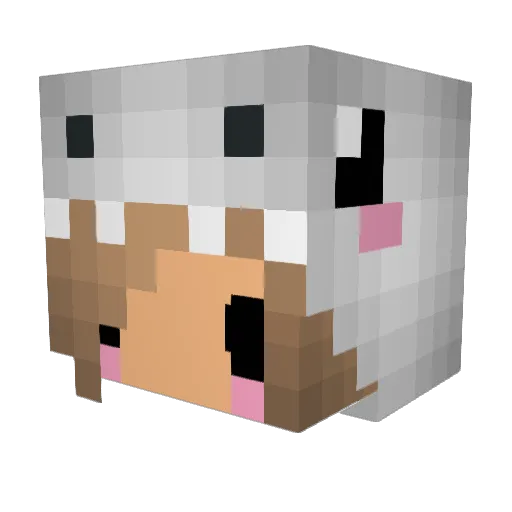 Lollipop1290 Minecraft avatar head, 3D render