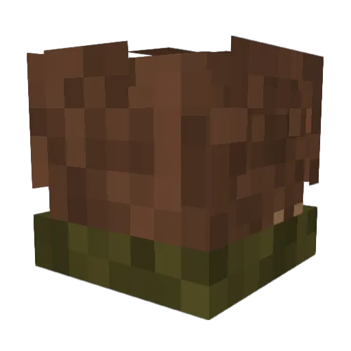 Lollon3_ Minecraft avatar head, 3D render