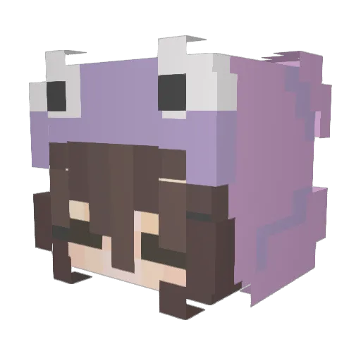 Lolman66781 Minecraft avatar head, 3D render