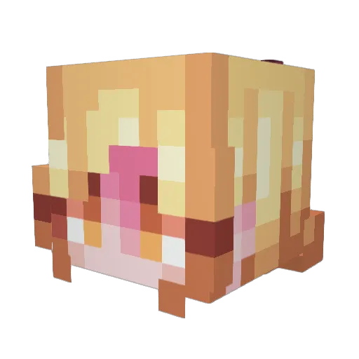 Lolo9012 Minecraft avatar head, 3D render