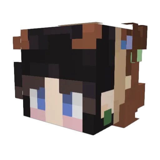 LoloBlocks Minecraft avatar head, 3D render